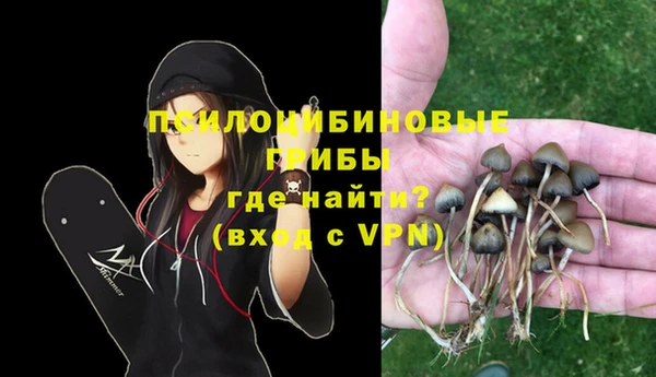 каннабис Арсеньев